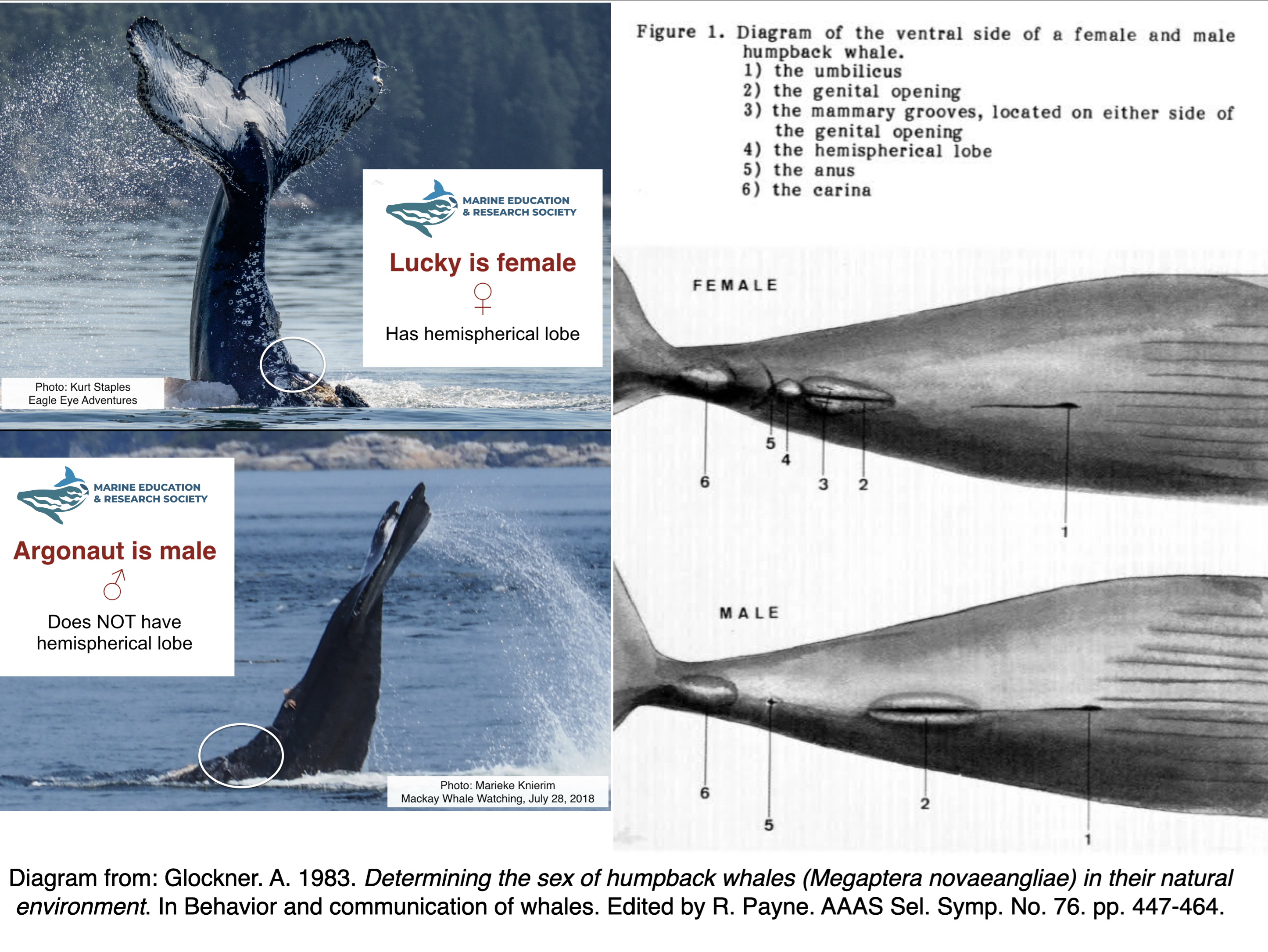 Screenshot 2025 10 06 at 10.55.36