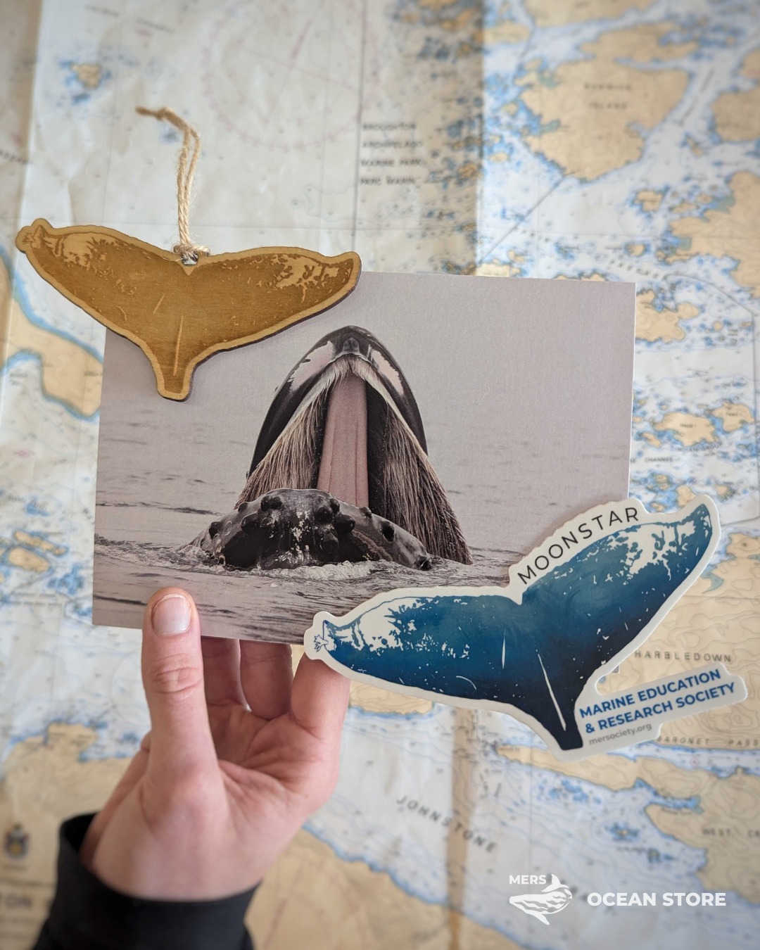 589822095 1254237746740032 7380183210032799684 n