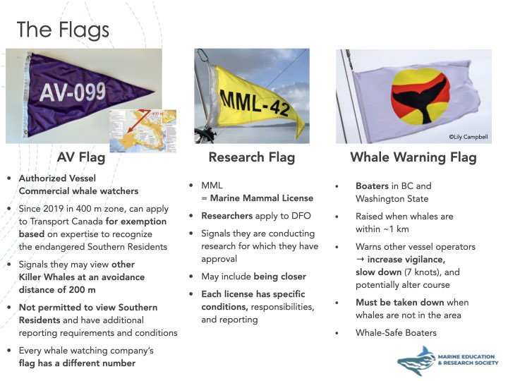 ‎Media Matters 2025 03 28.‎001